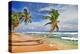 Wild Beautiful Beach Sri Lanka-null-Stretched Canvas