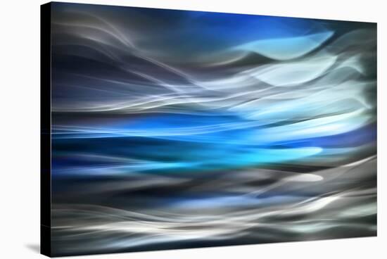 Wild Blue-Ursula Abresch-Stretched Canvas