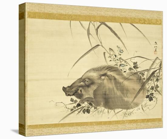 Wild Boar amidst Autumn Flowers and Grasses-Mori Sosen-Stretched Canvas