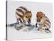 Wild Boar Piglets (Sus Scrofa), Suidae, Drawing-null-Premier Image Canvas