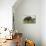 Wild Boar (Sus Scrofa), Captive, United Kingdom, Europe-Ann and Steve Toon-Premier Image Canvas displayed on a wall