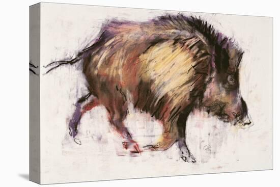 Wild Boar Trotting, 1999-Mark Adlington-Premier Image Canvas