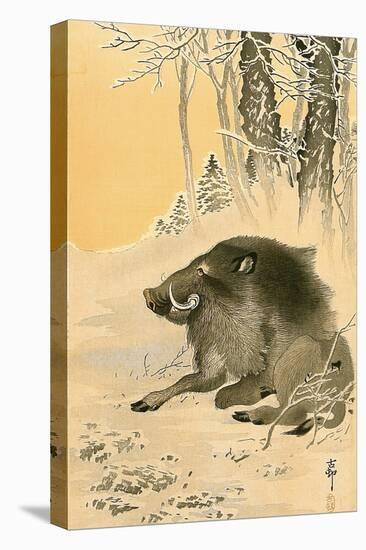 Wild Boar-Koson Ohara-Premier Image Canvas