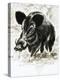 Wild Boar-English School-Premier Image Canvas
