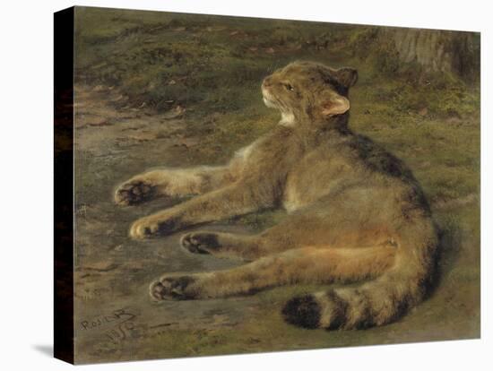 Wild Cat, 1850, by Rosa Bonheur, French painting,-Rosa Bonheur-Stretched Canvas