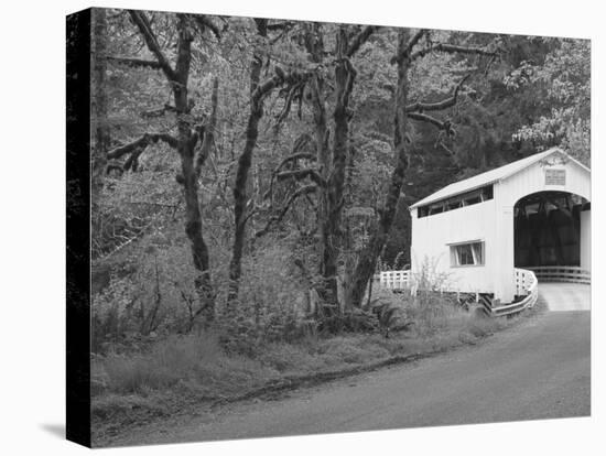 Wild Cat Covered Bridge, Lane County, Oregon, USA-William Sutton-Premier Image Canvas