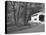 Wild Cat Covered Bridge, Lane County, Oregon, USA-William Sutton-Premier Image Canvas