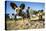 Wild Dogs, Moremi Game Reserve, Botswana-Paul Souders-Premier Image Canvas