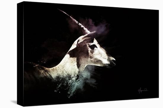 Wild Explosion Collection - The Impala-Philippe Hugonnard-Stretched Canvas