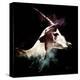 Wild Explosion Square Collection - The Impala-Philippe Hugonnard-Stretched Canvas