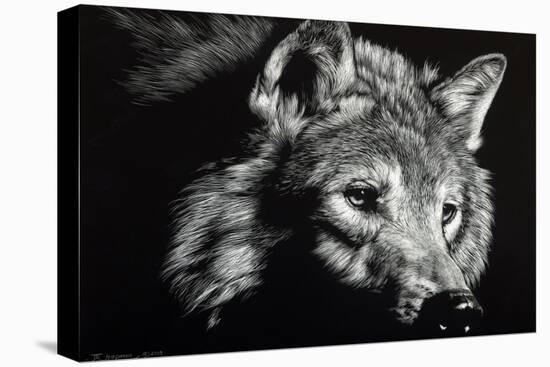 Wild Eyes-Julie Chapman-Stretched Canvas