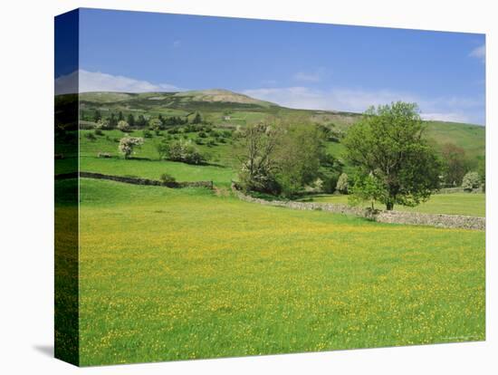 Wild Flower Meadow, Swaledale, Yorkshire Dales National Park, North Yorkshire, England, UK, Europe-Jonathan Hodson-Premier Image Canvas