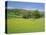 Wild Flower Meadow, Swaledale, Yorkshire Dales National Park, North Yorkshire, England, UK, Europe-Jonathan Hodson-Premier Image Canvas