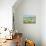 Wild Flowering Oxeye Daisies-Ruud Morijn-Premier Image Canvas displayed on a wall