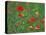 Wild Flowers, Including Poppy and Corncockle, Cultivated for Seed, Netherlands-Niall Benvie-Premier Image Canvas
