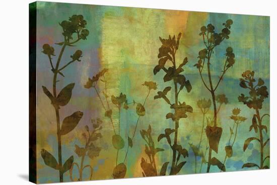 Wild Flowers IV-Tania Bello-Stretched Canvas