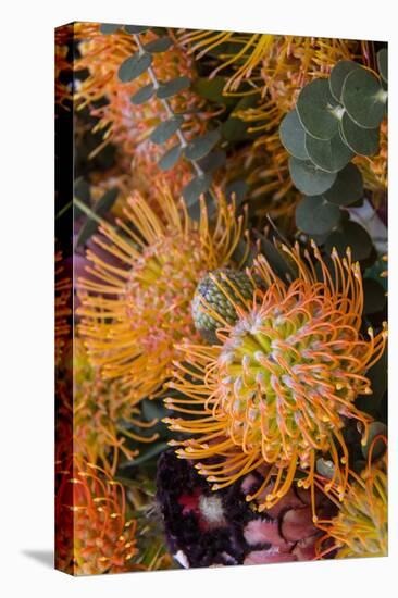 Wild Flowers of Hawaii-Terry Eggers-Premier Image Canvas