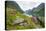 Wild flowers on shores of Jolstravatnet lake, Jolster, Sogn og Fjordane county, Western Norway-Roberto Moiola-Premier Image Canvas