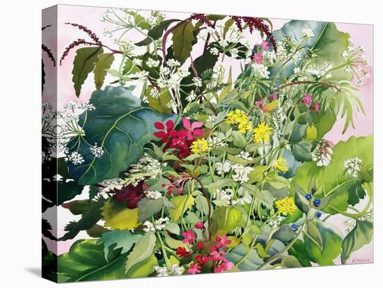 Wild Flowers with Comfrey and Campion-Christopher Ryland-Premier Image Canvas