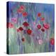 Wild Flowers-Randy Hibberd-Stretched Canvas