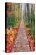 Wild Garden of Acadia Path-Vincent James-Premier Image Canvas