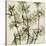 Wild Geranium-Steven N^ Meyers-Stretched Canvas