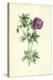 Wild Geranium-Frederick Edward Hulme-Premier Image Canvas