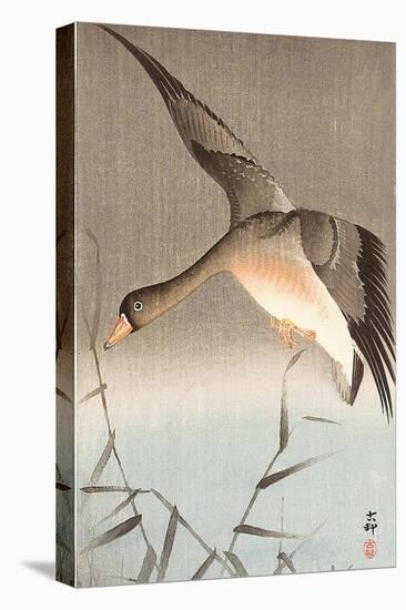 Wild Goose-Koson Ohara-Premier Image Canvas