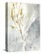 Wild Grass II-Jennifer Goldberger-Stretched Canvas