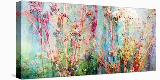 Wild Grasses Layered with Flower Colors-Alaya Gadeh-Premier Image Canvas