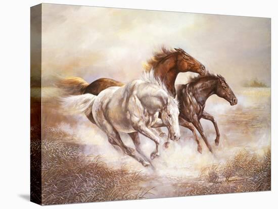 Wild Horses I-Ruane Manning-Stretched Canvas