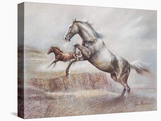 Wild Horses II-Ruane Manning-Stretched Canvas