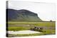 Wild Horses, South Iceland, Iceland, Polar Regions-Yadid Levy-Premier Image Canvas