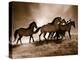 Wild Horses-Lisa Dearing-Stretched Canvas