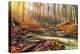 Wild Mountain River in the Autumn Forest-Givaga-Premier Image Canvas