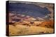 Wild Mustang Horses Running Across Field in Wyoming and Montana-Bill Eppridge-Premier Image Canvas