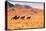 Wild Mustang Horses Running Across Field in Wyoming and Montana-Bill Eppridge-Premier Image Canvas