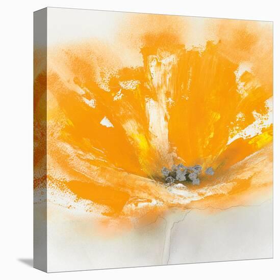 Wild Orange Sherbet II-J^P^ Prior-Stretched Canvas