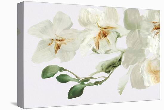 Wild Orchid - Thrive-Emma Violet-Stretched Canvas