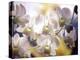 Wild Orchids, Malaysia-Michele Molinari-Premier Image Canvas