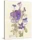 Wild Pansy-Charles Rennie Mackintosh-Stretched Canvas