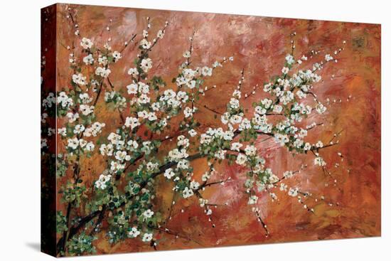 Wild Plum Blossoms-Zachary Alexander-Stretched Canvas