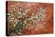 Wild Plum Blossoms-Zachary Alexander-Stretched Canvas