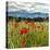 Wild Poppies (Papaver Rhoeas) and Wild Grasses with Sierra Nevada Mountains, Andalucia, Spain-Giles Bracher-Premier Image Canvas