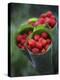 Wild Raspberries Held in the Leaf of a Porcelaine Rose, Sao Tomé and Principé-Camilla Watson-Premier Image Canvas