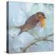 Wild Robin - Rest-Sarah Simpson-Stretched Canvas