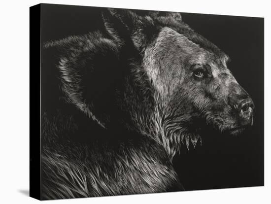 Wild Scratchboard II-Julie Chapman-Stretched Canvas