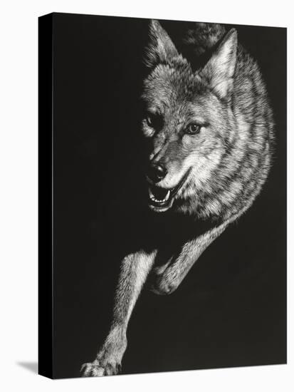 Wild Scratchboard V-Julie Chapman-Stretched Canvas