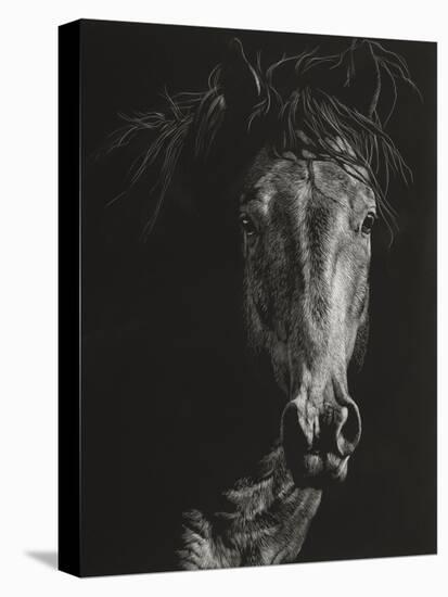 Wild Scratchboard VI-Julie Chapman-Stretched Canvas