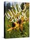 Wild Thing-Kimberly Glover-Premier Image Canvas